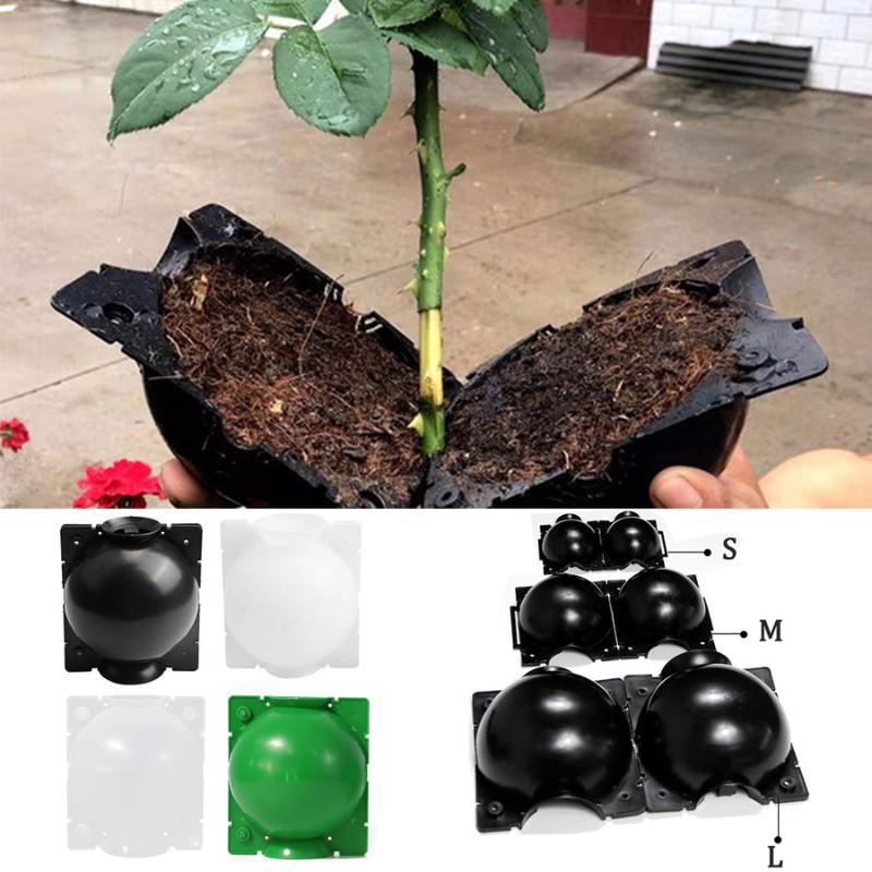 

Value 10PCS Large-Scale Garden Plant Root Growth Box, High-Pressure Ball Nursery Grafting Rooting Box Tool Planters & Pots