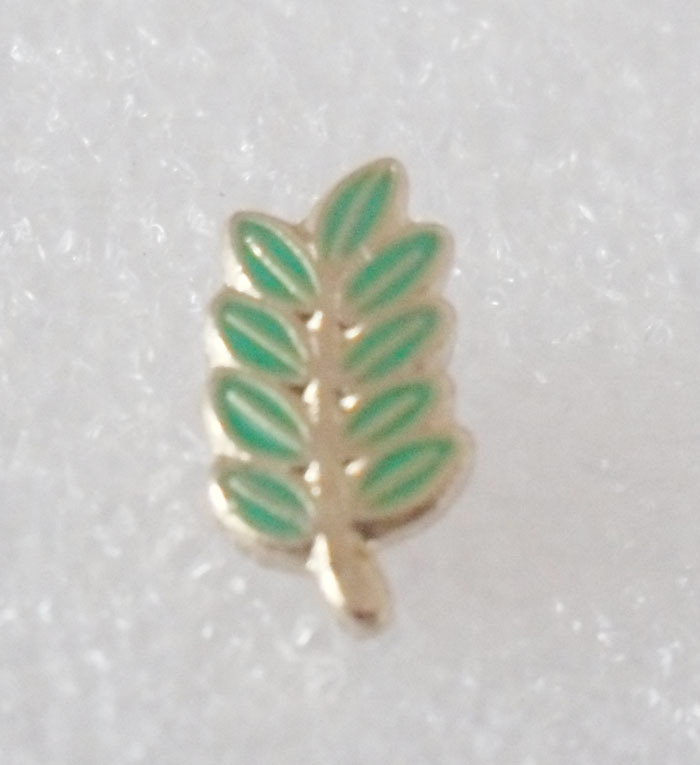 Wholesale Gold masonic leaf lapel pin crafts souve...