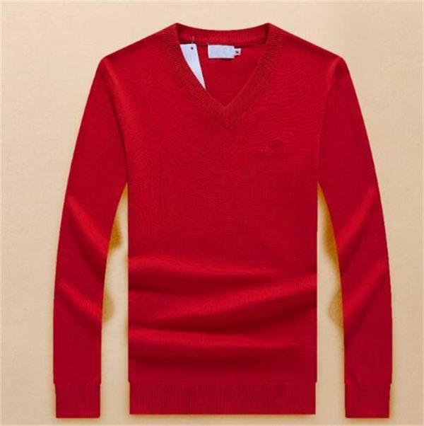 

2021 new Fashion V-neck sweater for men's fashion long sleeve Crocodile embroidery sweaters autumn loose pullover sweaters for Men Sweaters, Dark gray