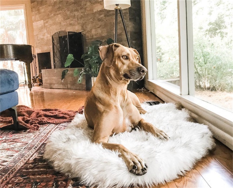 

kennels Tyteps Faux Fur Orthopedic Dog Bed Curve White Rug For Big Medium Small Puppys Support Dropping 1819 V2, As show