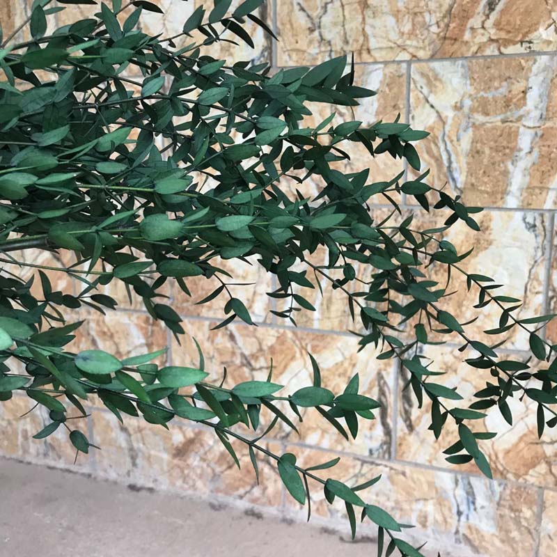 

80g/Decorative Dried Fowers Preserved Eucayptus Tenuifoia Bouqueteaves Eternee Eucayptus Camaduensis Garand For Home, Mix in red green