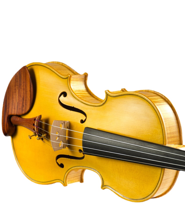 

Professional violin grading beginner performance-level handmade string insrument
