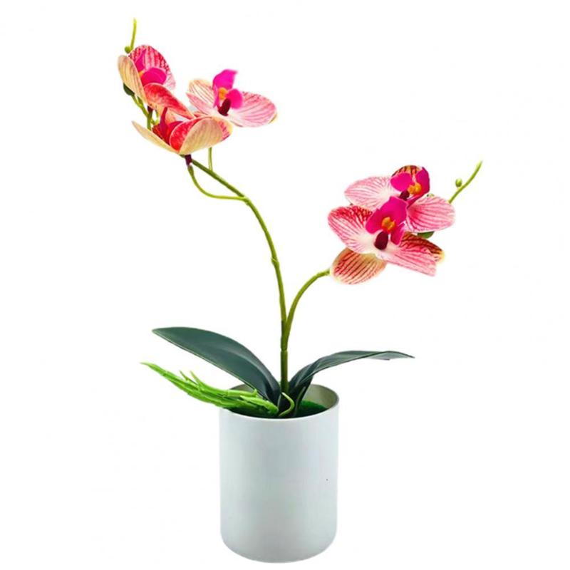 

Decorative Flowers & Wreaths Fine Simulation Bonsai Realistic Plastic Artificial Plant Elegant Faux Orchid
