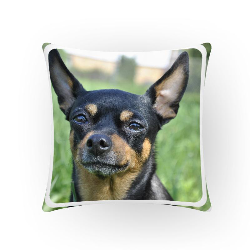 

Cartoon Animal Cushion Cover Dog Peach Skin Pillow Cases Sofa Bedroom Decorative Soft Covers Home Decor 45x45cm Cushion/Decorative