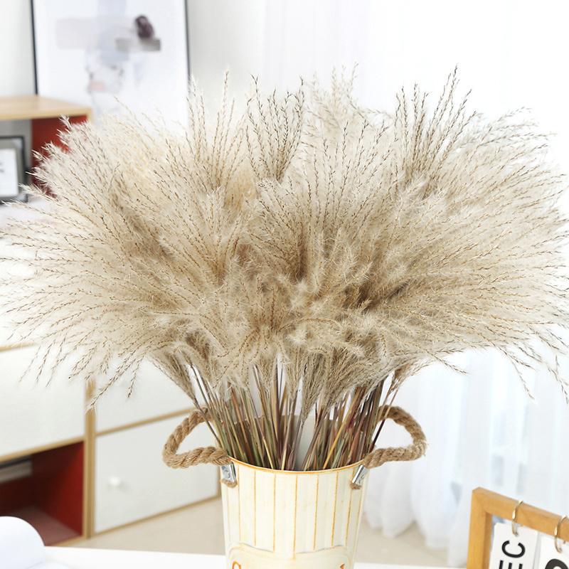 

Decorative Flowers & Wreaths Dried Pampas Grass Plants Home Decor Feather Flower Natural Phragmites Bouquets Tall 20-30cm Wedding, Small pampas grass