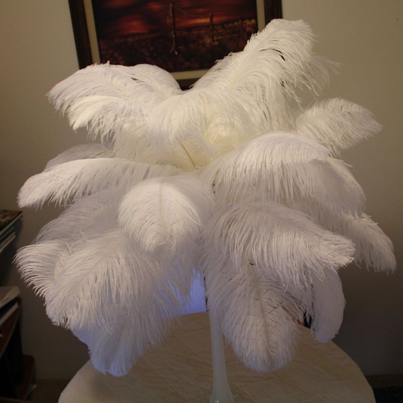 large white ostrich feathers bulk