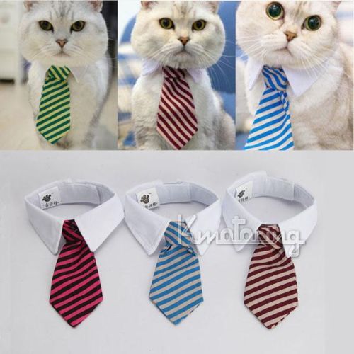 

Small Medium Size Dog Cat Pet Stripe Bow Tie Neck Tie White Collar Multi Colors