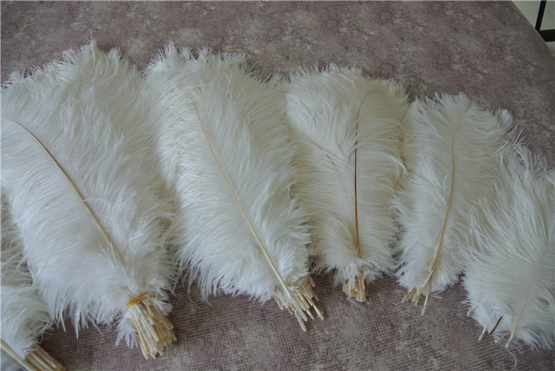 

Wholesale 100pcs White ostrich feather plume for wedding centerpiece Wedding decor PARTY EVENT Decor supply feative decor