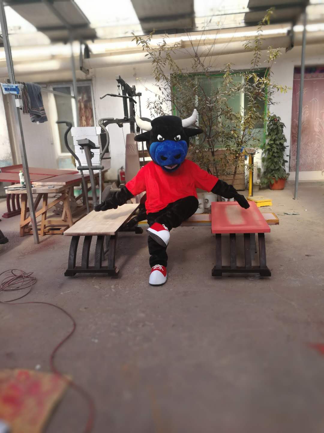 

Hot high quality Real Pictures Black cow mascot costume free shipping