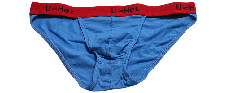 

#13003BL wholesale sexy men underwear lingerie cotton U bag briefs underpants panties cuecas calzoncillos hombre heren ondergoed, Blue