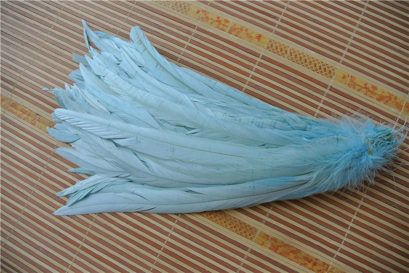 

Free shipping 100 pcs/lot 12-14inch aqua COQUE rooster TAIL Feather Loose for party decor costumes supply