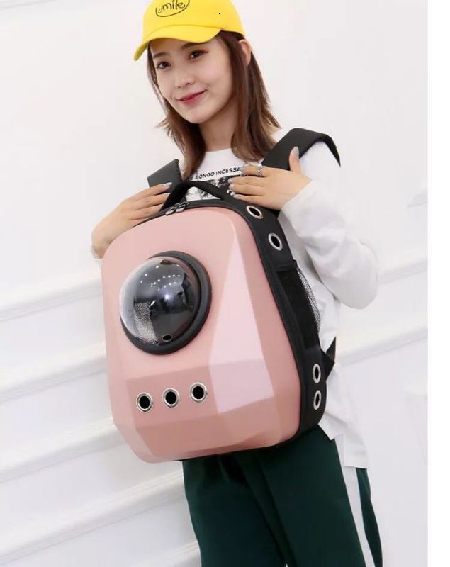 

Going Out Carrying Dog Space Backpack Cat Pet Bag