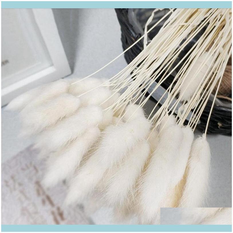 

Faux Floral Greenery Aents Decor Garden 30Pcs Gradient Lagurus Ovatus Natural Dried Flowers Bouquet Diy Wedding Home Christmas Decoration R