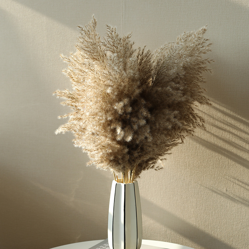 

15pcs 50-60cm Pampas Grass Dried Flower Reed Wedding Decoration Hay Autumn Home Decor Natural Bouquet