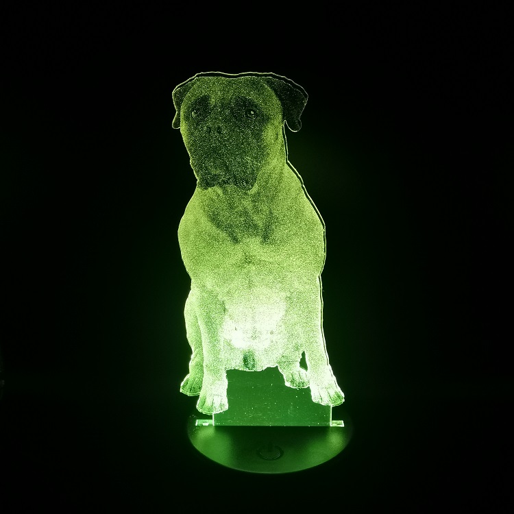 Bull Mastiff LED Light for Hotel/Club Decoration 3D Nightlights Cool Gift Party USB Powered Room Table Lamp-image-677821478