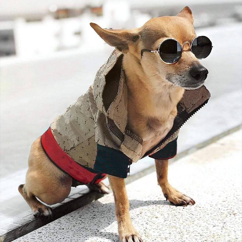 Compra Chaqueta De Perro De Lujo Ropa De Invierno Para Perros Pequeños  Bulldog French Fashion Husky Chihuahua Traje Mascotas Ropa Dropshipping  CW01 Barato | Entrega Rápida Y Calidad | Es.Dhgate