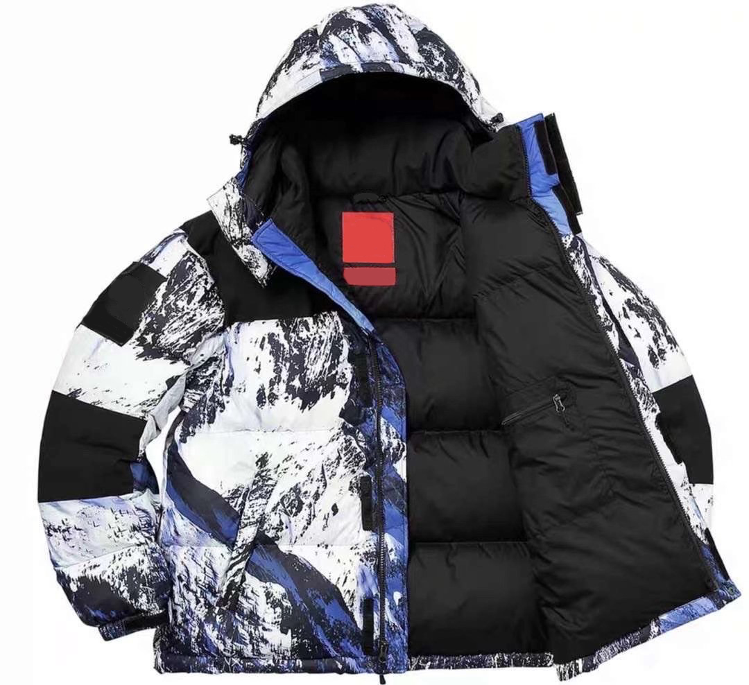 

TNF design letter embroidery Man down Coat Printing Parka men women Winter Outerwear Jacket Snow Mountain Feather Overcoat outfit Jackets no, Black
