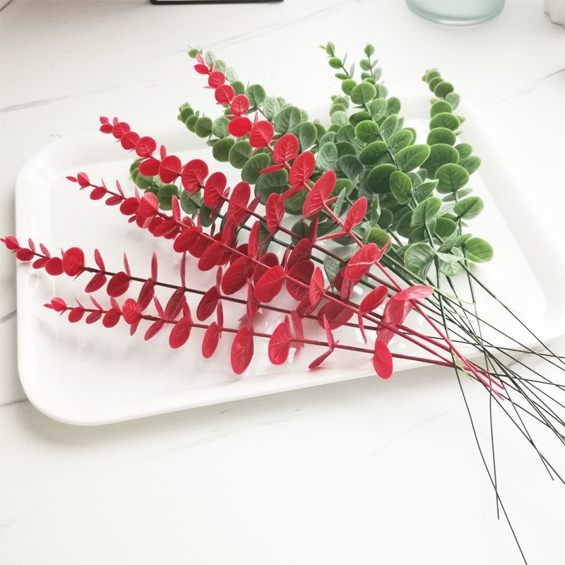 

Eucalyptus true flower eucalyptus single branch red and money leaf decoration green plant props photography