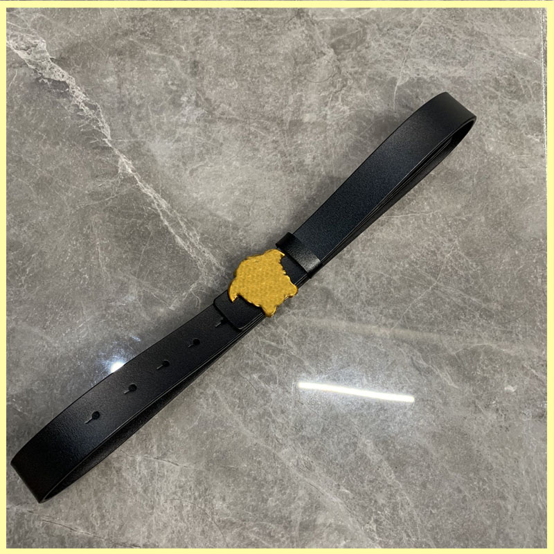 

Genuine Leather Men Designer Belts For Women High Quality Bronze Head Buckle Womens Luxury Belt Waistband Cintura Ceinture 21082001R, Multi