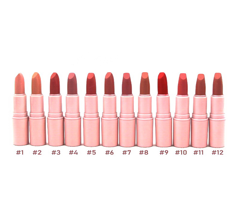 

Matte Lipstick 12 Color Rouge A Levre Long-lasting Easy to Wear Make Up Lip Stick Shades, Extra shipping fees only