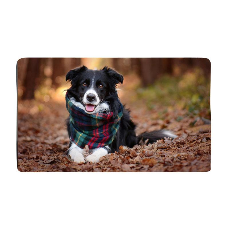 

Cushion/Decorative Pillow Funny Cute Dog Print Door Mat Non-slip Durable Washable Fun Home Decoration Entrance Carpet Bathroom Bedroom Ki