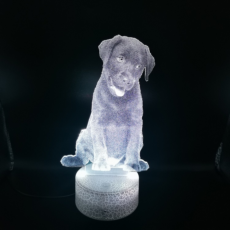 Pet Dog 3D Night light Labrador Puppy LED Nightlight Color Changing for Kids Child Girl Bedroom Decor Table Lamp Gift-image-677931038