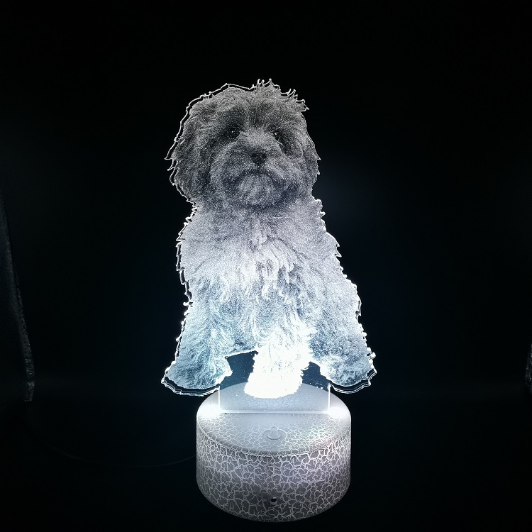 

3D Lamp Pet Dog Cavapoo LED Baby Night Light Color Changing USB Nightlight for Kids Child Girl Bedroom Decor Gift