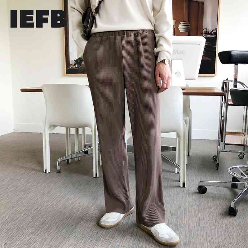 

IEFB Spring Pleated Wide Leg Pants Korean Trend Loose Fashion Sports Pants Casual Elastic Waist Pants Male 9Y5683 210524, Brown