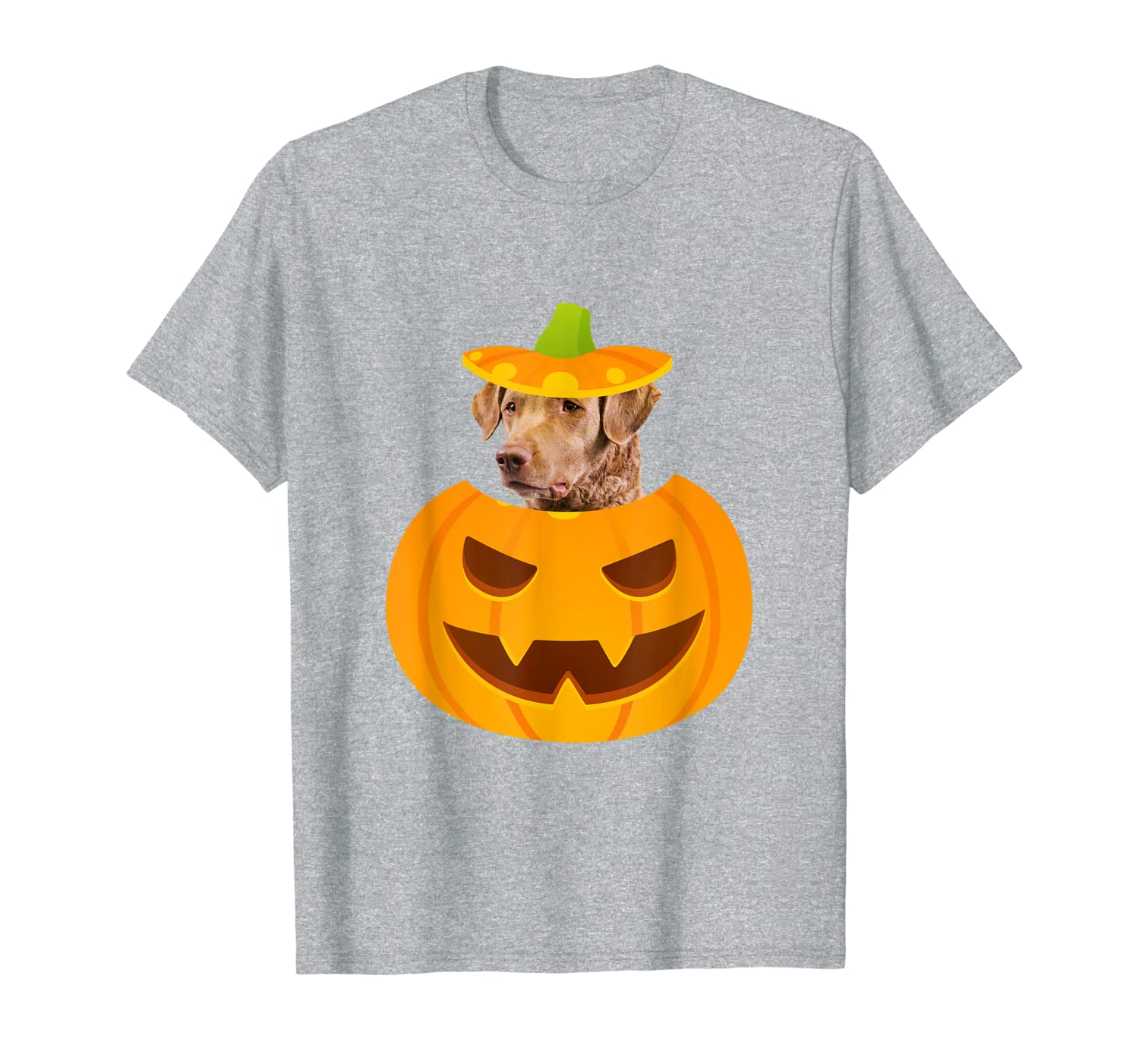 

chesapeake bay retriever peeking out of jack-o-lantern t-shirt, White;black