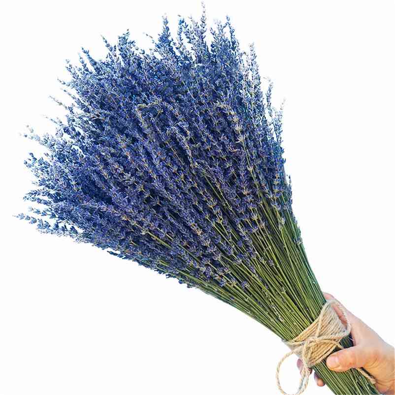 

100g Natural Dried Lavender Flowers Bundles Buds Freshly Wedding Decoration Bouquet Aromatherapy 210706