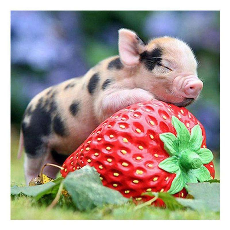

Diamond Painting LZAIQIZG Needlework Embroidery Strawberry Pig 5D Mosaic Picture Handmade Rhinestone Home Decor