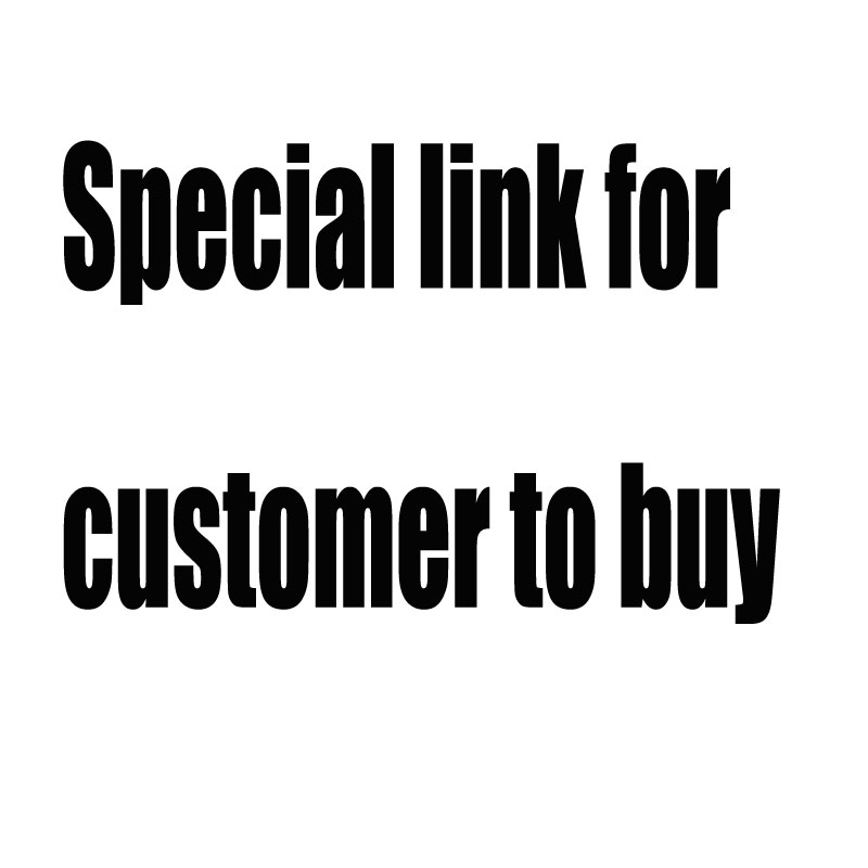 

14 shopping bags & 3 silver charms special link for customer