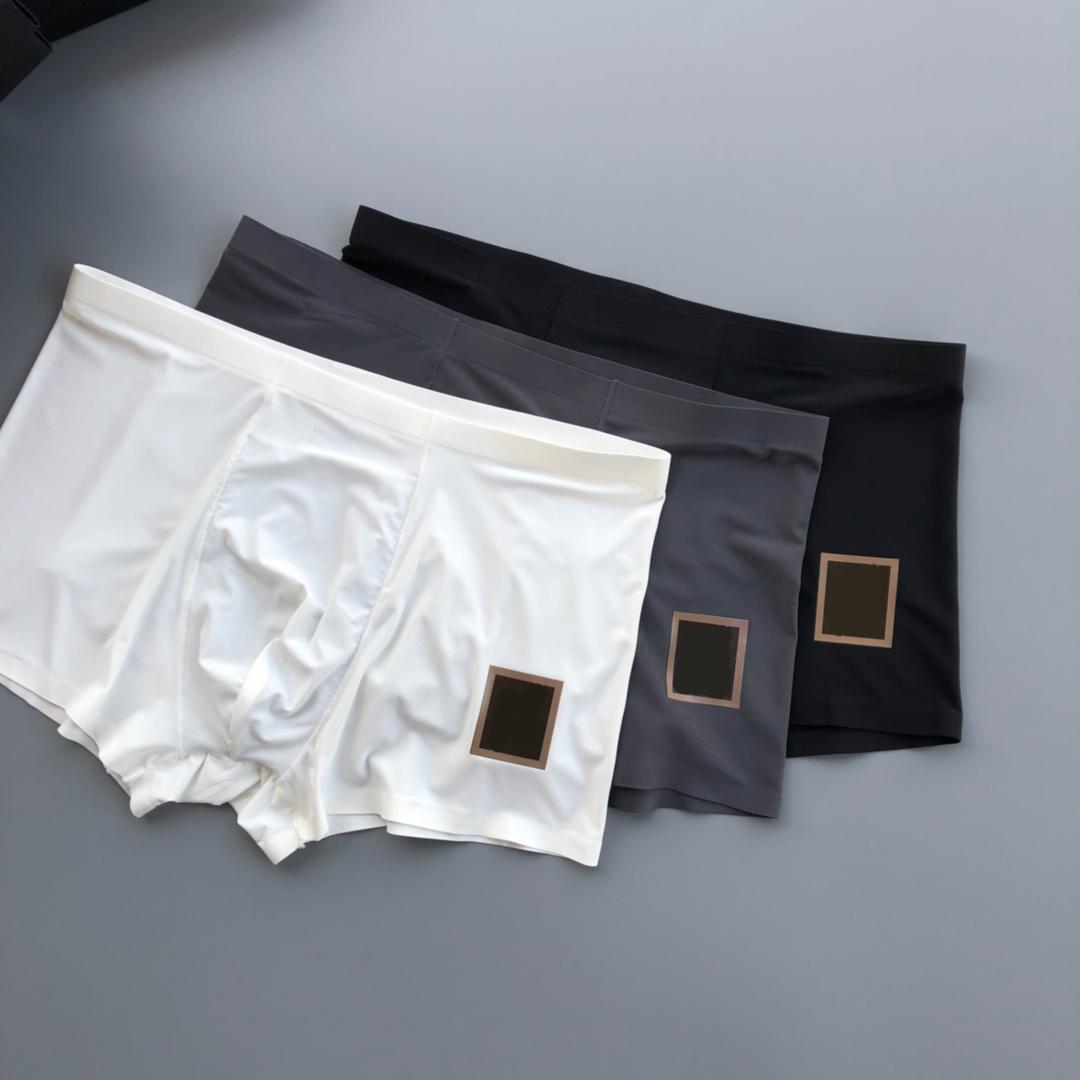 

Mens Quick Dry Boxer Ethika men Underwear Underpants ethikas man boxers Male Sports Skateboard Street Hip Hop Stretch Brief with bag L-3XL#05, Silver