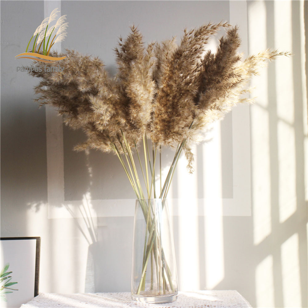 

wedding fowers rea big pampas grass arge size decor Natura dried fowers bouquet feather fowers For Home Store party decor, 20pcs light color