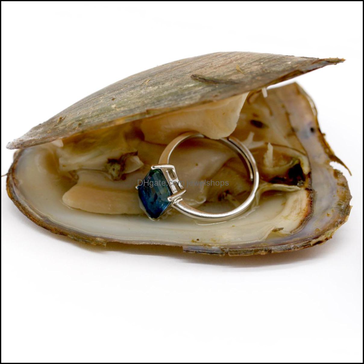 

Pearl Loose Beads Jewelry Fortune Freshwater Oysters With Sterling Sier Gem Ring Or Gifts Shell Love Wish Oyster Vacuum-Packed Drop Delivery