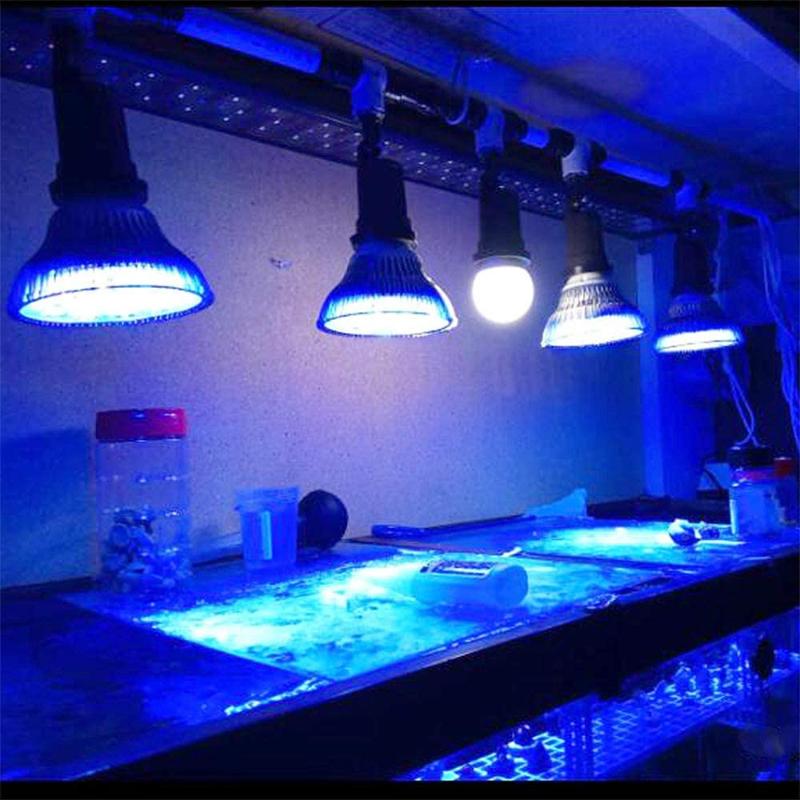 

Bulbs 54W Full Spectrum Aquarium Lights LED E27 38 Coral Reef Used Plant Grow Lamp For Sump Algae Refugium Fish Tank D30