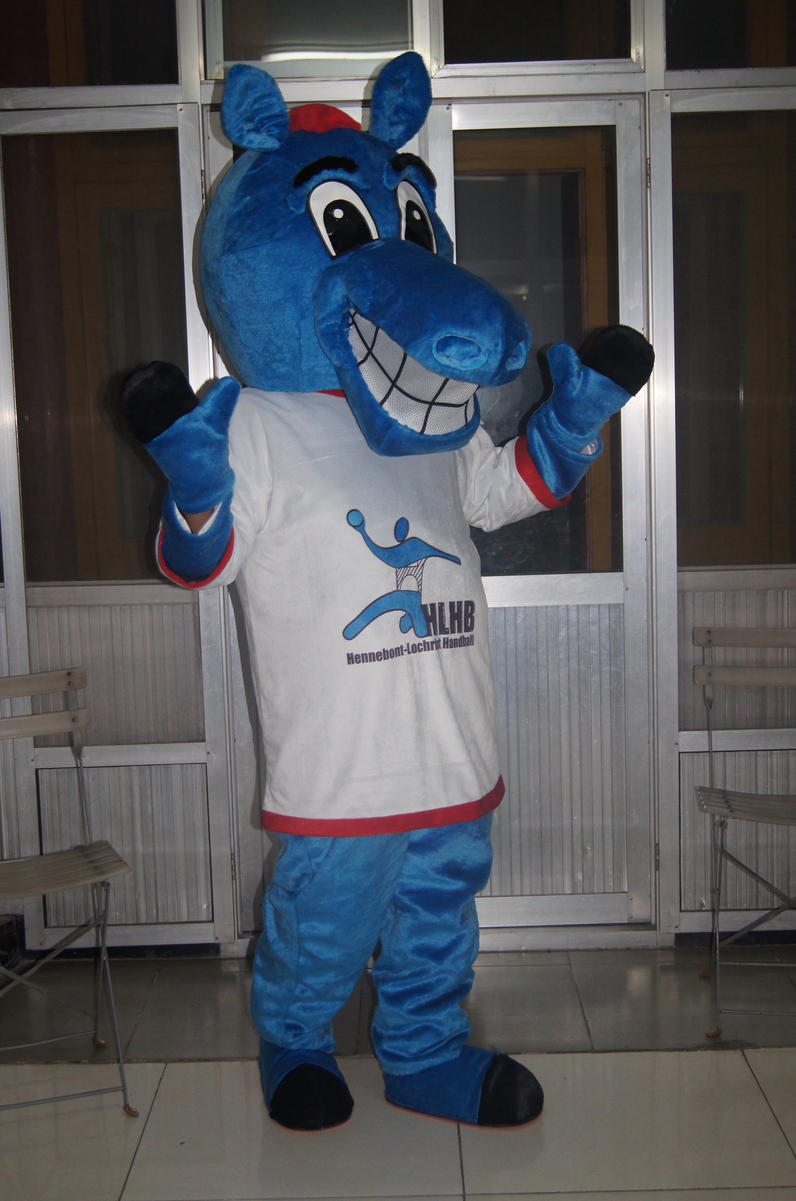 

Real Picture Big dinosaur mascot costume Fancy Dress For Halloween Carnival Party support customization, Blue