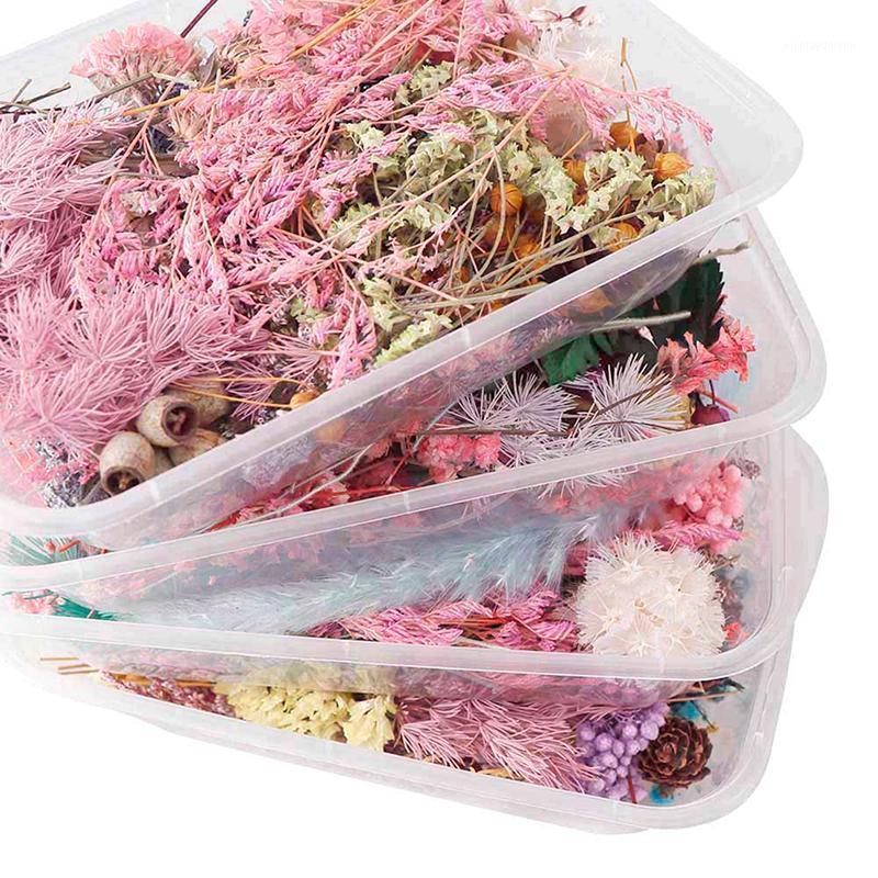

Decorative Flowers & Wreaths 1 Box Dried DIY Accessories Flower Dry Plants For Candle Epoxy Resin Pendant Necklace Jewelry Maki