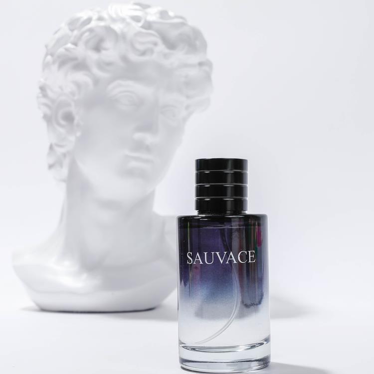 

parfum men perfumes Deodorant Wilderness Light Fragrances sauvages women EAU DE TOILETTE Attractive 100ML fast delivery