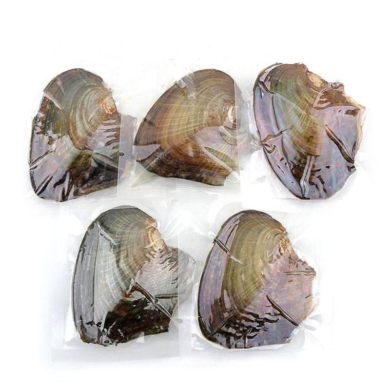 

Charms Diy Pendant Oysters Real Pearl Gift Individually Wrapped Vacuum Package 7-8mm Jewelry Shell