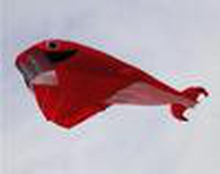 

2.1 M 3D HUGE Parafoil Whale Kite/Red Free Ship !!