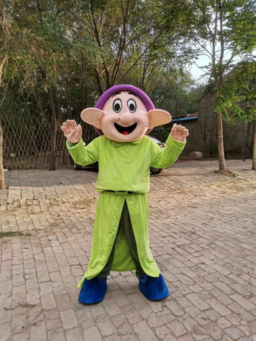 

Real Picture dopey Mascot Costume Fancy Outfit Cartoon Character Party Dress, Green