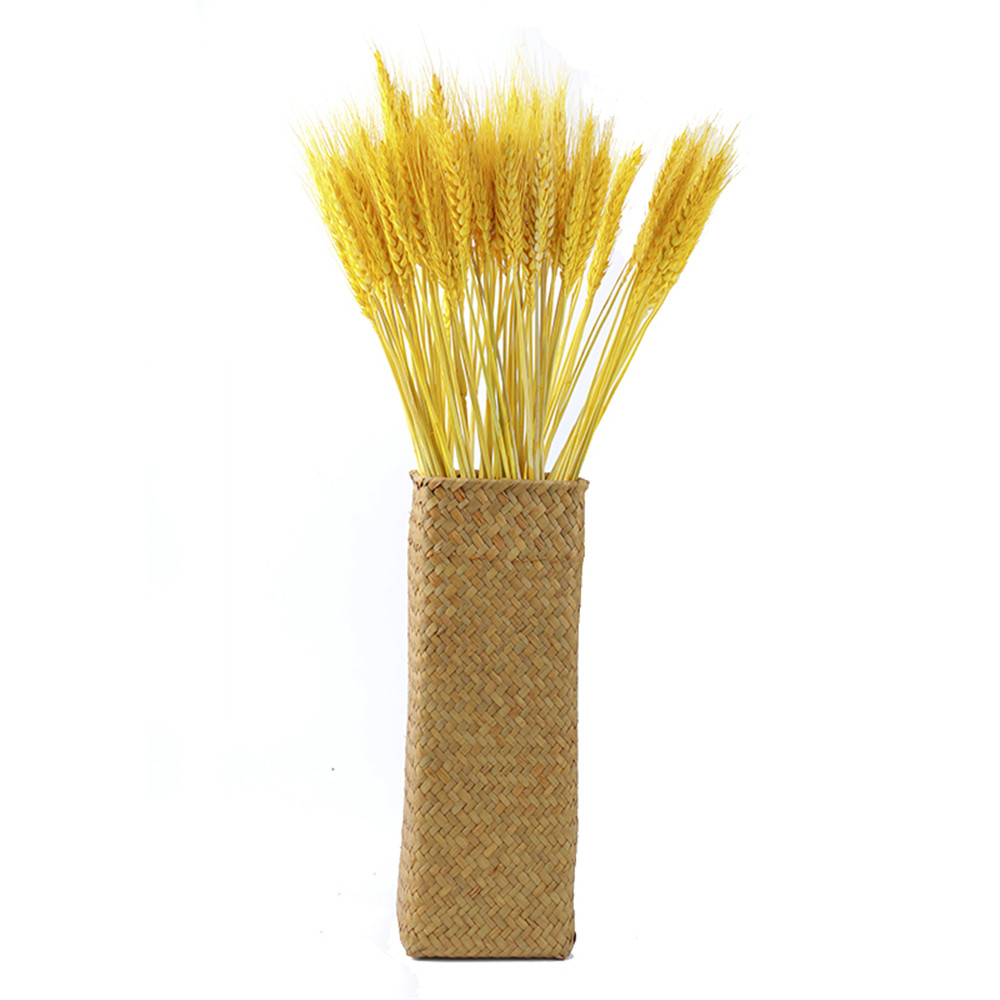 

100Pcs Rea Wheat Natura Dried Fowers Wedding Party Decoration Craft Scrapbook Diy Home Decoration Wheat Bouquet Photo Props, 100pcs raw color