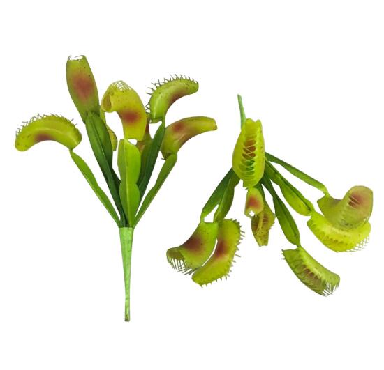 

100 Pcs seeds / Lot Nepenthes Carnivorous Dionaea Muscipula Giant Clip Venus Flytrap Artificial Simulation for Garden Decor Natural Growth Variety of Colors