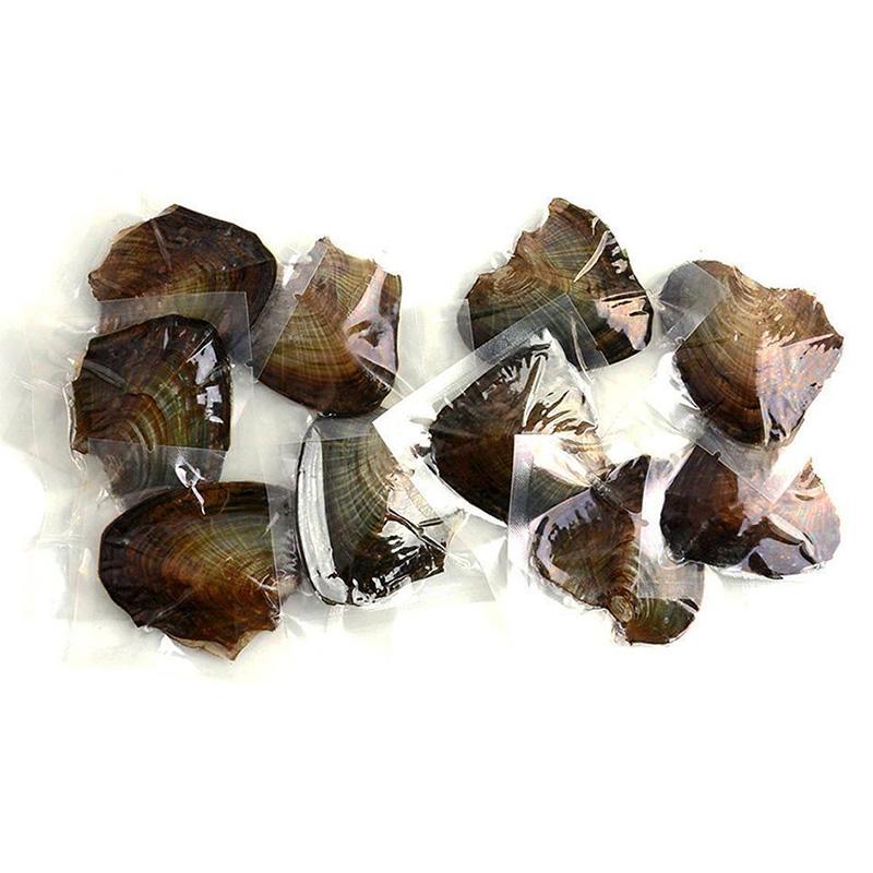 

Charms Oysters Real Pearl Gift Individually Wrapped Vacuum Package 7-8mm Jewelry Shell PR Sale, Bronze;silver
