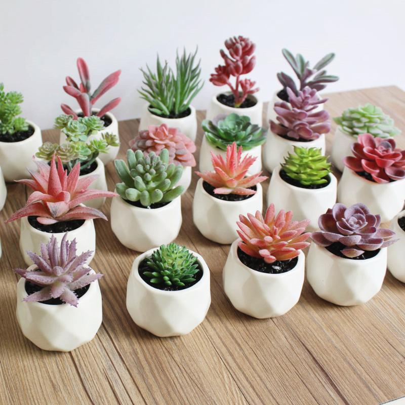

Decorative Flowers & Wreaths Artificial Plants Mini Succulents For Wedding Home Garden Office Bedroom Living Room Decoration Fake