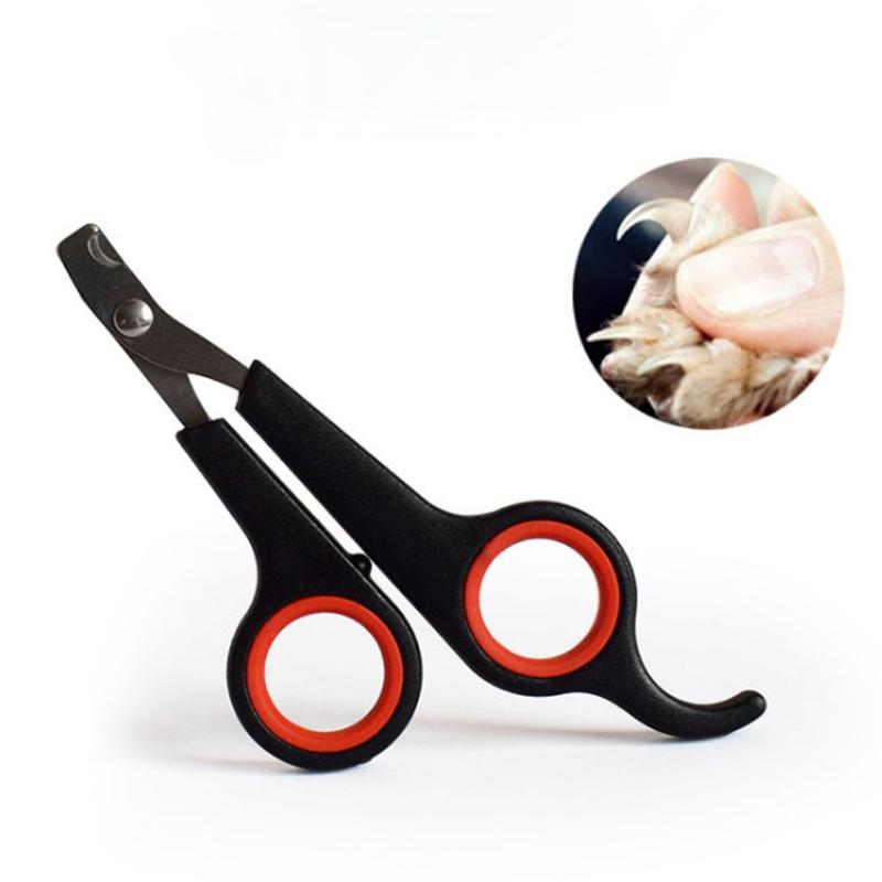 pet grooming wholesale supplies