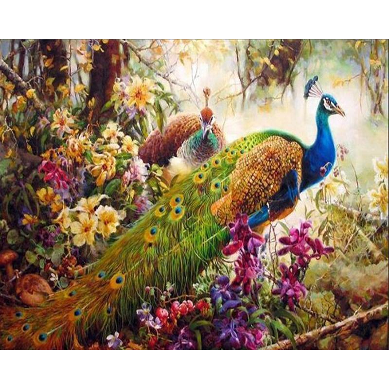 

Paintings SELILALI The Peacock Painting By Numbers Pictures Number Animal Oil For Adults Home Decoration