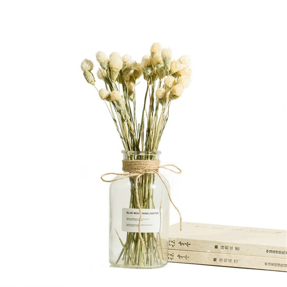 

Gass Vase Fower Pot Fower Basket Fower Vase Decoration Home Nordic Decoration Dried Hydroponic Sma Brown Botte, Clear 250ml