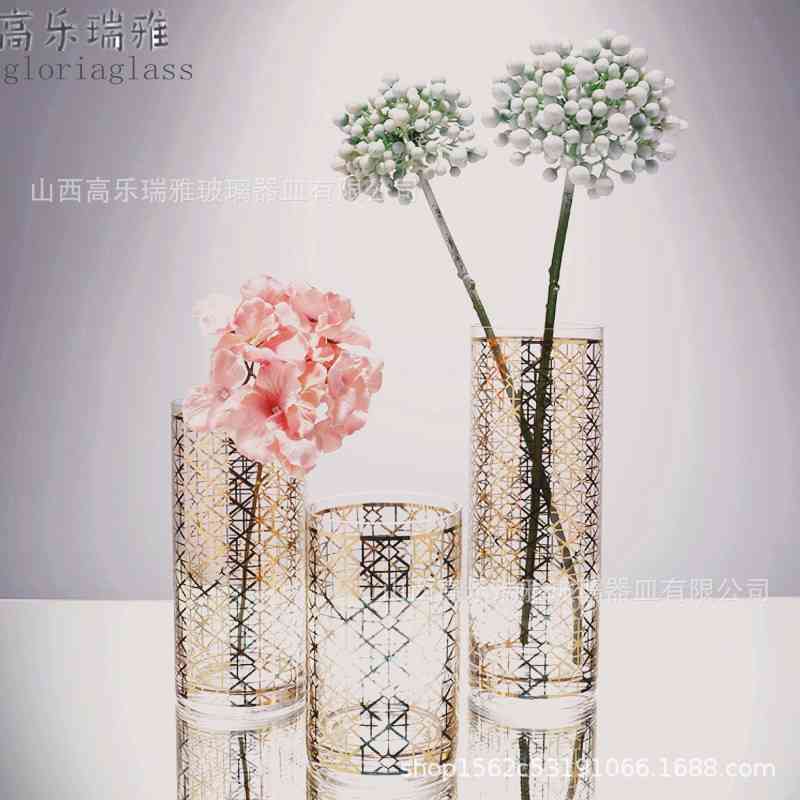 

Creative vase Nordic home furnishings gold pattern straight bottle glass bong